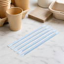 Commercial Compostable Individually Wrapped Paper Straws 250 Pack