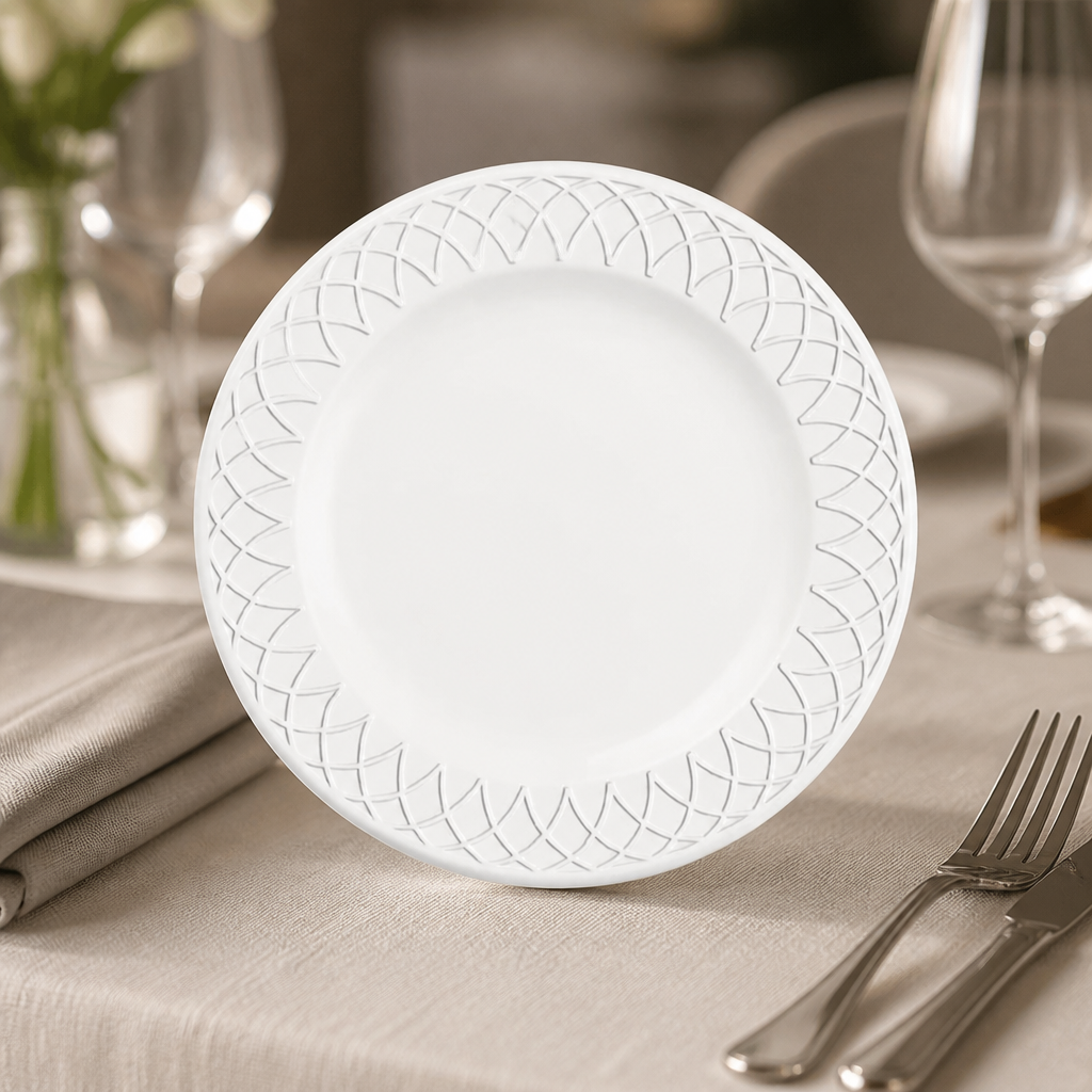 Commercial 268mm porcelain plates 12 pack