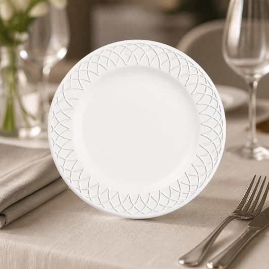 Commercial 268mm porcelain plates 12 pack