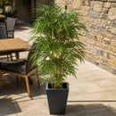 1800mm Natural Bamboo Artificial Plant For Indoor And Outdoor Use