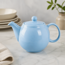 Commercial Teapots 450ml Stoneware Set of 2 for Catering