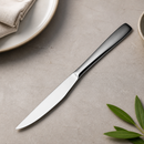 Commercial Steak Knives Set of 12 for Catering Use