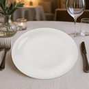 Commercial Bone China Coupe Plates 290mm for Fine Dining