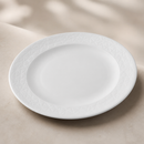 Commercial Abstract Plates 203mm - 12 Pack Fine China