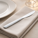 Commercial Stainless Steel Tea Knives 12 Pack 189mm Length