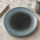 Commercial Coupe Plates 286mm Raku Duo Evolve Topaz Quartz 12 Pack