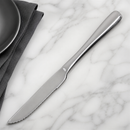 Commercial Steak Knives Set of 12 - 234mm Stainless Steel