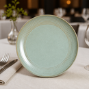 Commercial Coupe Plates 270mm Microwave Dishwasher Safe 12 Pack