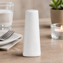 Commercial Porcelain Salt Shakers 100mm for Catering 6 Pack