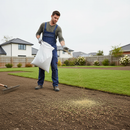 Premium Grass Seed with Rye - 20KG Bag for Lush Lawn Growth and Durability - High-Quality Professional Grade for Industrial and Commercial Applicat...