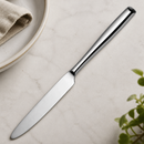 Commercial Dessert Knives 12 Pack Sleek Modern Design