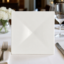 Commercial Square Elevation 100x100mm for Food Presentation