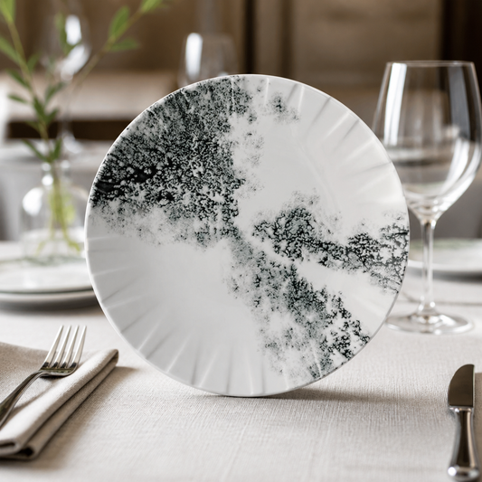 Commercial Coupe Plates 273mm Eco Glaze Stain Resistant 6 Pack