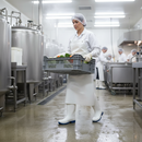 Premium Food Industry Safety Wellington Boots with High Slip Resistance, Sizes 3-11, Compliant with EN 20345:2011 Standards