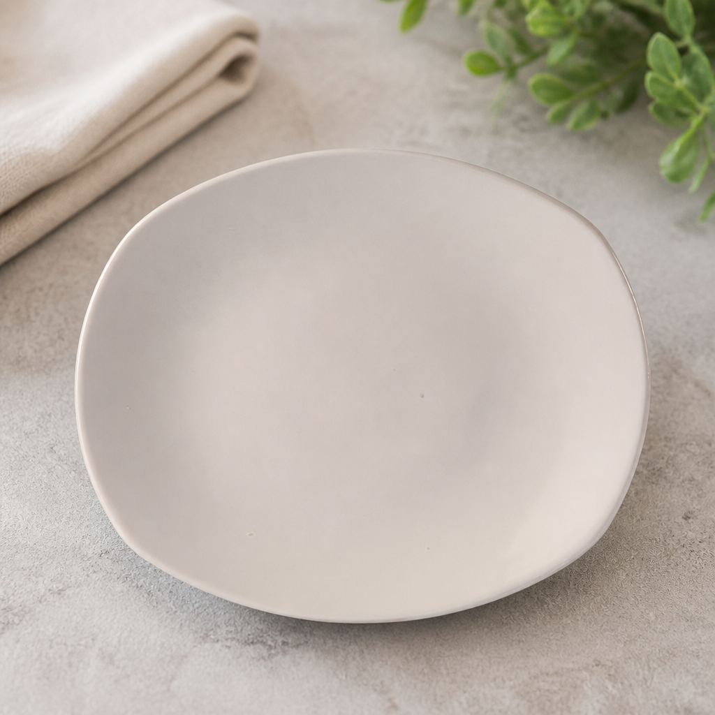 Commercial Porcelain Spice Plates 305mm - 12 Pack
