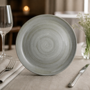 Commercial Coupe Plates 270mm Dove Colourway 24 Pack