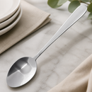 Commercial Stainless Steel Service Spoons 12 Pack 195mm