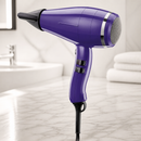 Professional Hair Dryer with Six Settings for Hotel Rooms