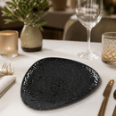 Commercial Triangle Plates 192mm - 12 Pack Vitrified Dinnerware