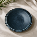 Commercial Stack Plates 230mm Vitrified China Blue 12 Pack