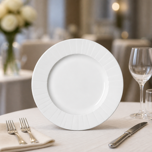 Commercial Mid Rim Plates 270mm - 24 Pack Durable Glaze