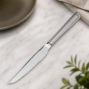 Commercial Steak Knives Set of 12 High Polish Stainless Steel