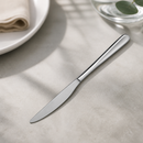 Commercial Stainless Steel Table Knives - 12 Pack