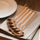 Commercial Copper Gravy Ladle Set of 6 for Catering Events