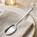 Commercial Stainless Steel Table Spoons Set of 12