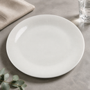 Commercial Bone China Coupe Plates 290mm for Fine Dining