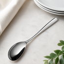 Commercial Stainless Steel Serving Spoons 12 Pack 220mm