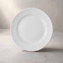 Commercial Abstract Plates 254mm - 12 Pack Fine China Set