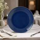 Commercial Coupe Plates 255mm Midnight Blue Pack of 12