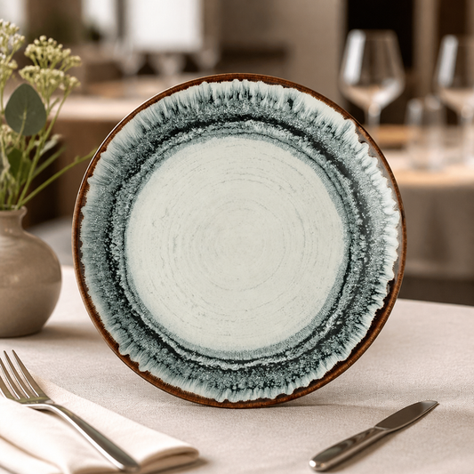 Commercial Coupe Plates 260mm Microwave Dishwasher Safe 12 Pack