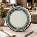 Commercial Coupe Plates 260mm Microwave Dishwasher Safe 12 Pack