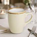 Commercial Sandstone Mugs 340ml - 6 Pack for Catering Use
