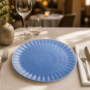 Commercial Blue Porcelain Plates 280mm - 6 Pack