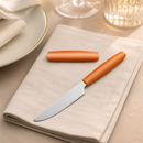 Commercial Dessert Knives 195mm Orange Handles 12 Pack