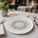 Commercial Walled Plates 260mm Agate Grey 6 Pack