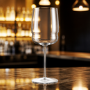 Commercial Red Wine Glasses 650ml 23oz Pack of 24