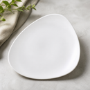 Commercial Triangle Plates 265mm White - 12 Pack Vellum