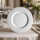 Commercial 255mm Mid Rim Plates - 24 Pack Durable Ceramic