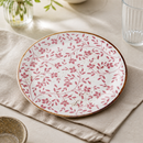 Commercial Coupe Plates 252mm Pink - 12 Pack