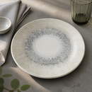Commercial Coupe Plates 248mm Textured Grey 12 Pack