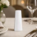 Commercial Porcelain Salt Shakers 100mm for Catering 6 Pack