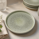 Commercial Walled Plate 210mm Green Speckled 6 Pack