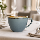 Commercial Cappuccino Cups 230ml Ocean 6 Pack Vitrified Hotelware