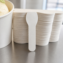 Paper Ice-Cream Spoons 2000 Pack Eco-Friendly Cutlery