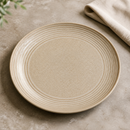 Commercial Coupe Plates 270mm Microwave Oven Dishwasher Safe