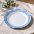 Commercial Brush Soup Plates 225mm Pack of 12 for Foodservice